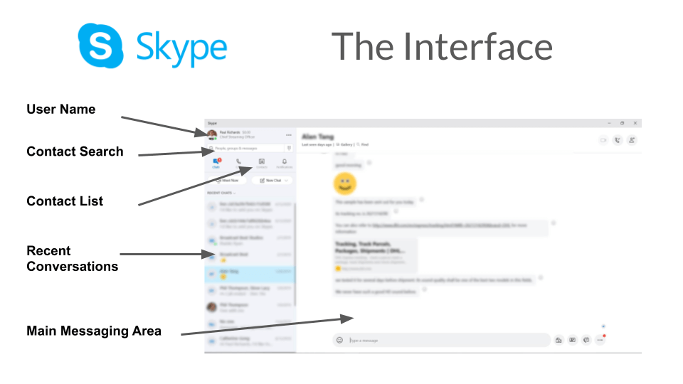 The Skype Interface